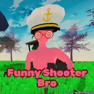 Gra Funny Shooter Bro online